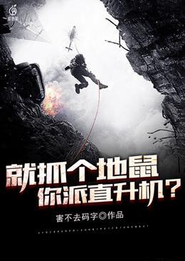 就抓个地鼠，你派直升机？