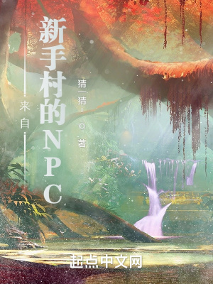 来自新手村的NPC